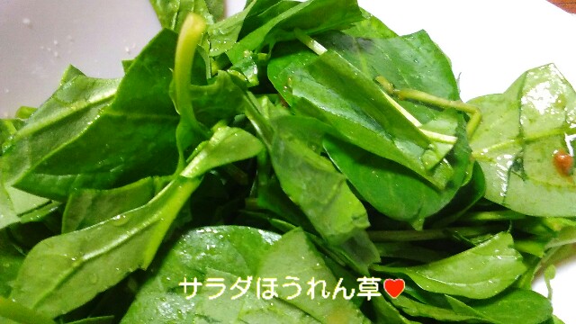 f:id:moko619:20160205075432j:image f:id:moko619:20160205075432j:image