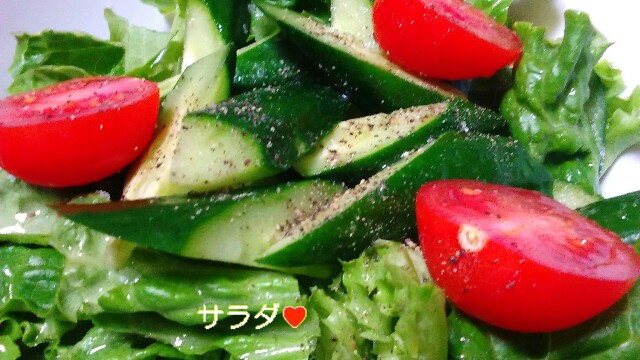 f:id:moko619:20160213065013j:plain