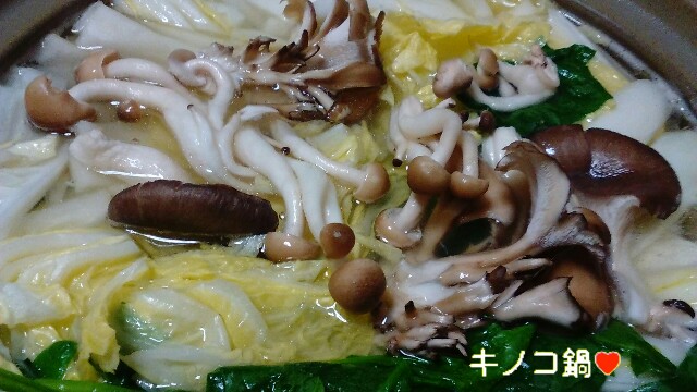 f:id:moko619:20160309040121j:plain