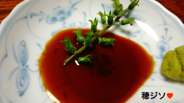 f:id:moko619:20160309040356j:plain