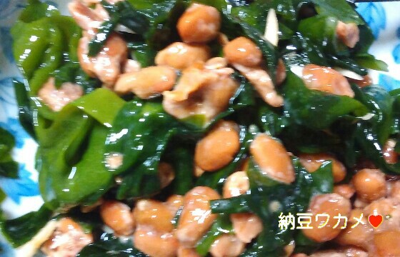 f:id:moko619:20160501105825j:image f:id:moko619:20160501105825j:image
