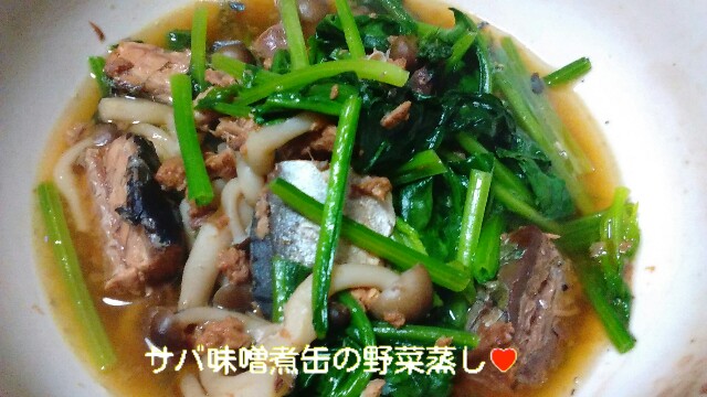 f:id:moko619:20160528090421j:image f:id:moko619:20160528090421j:image