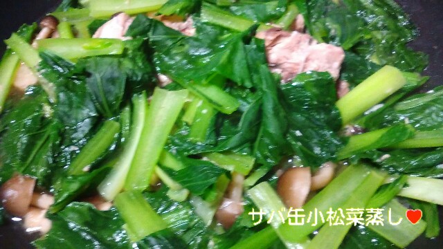 f:id:moko619:20160606094854j:image f:id:moko619:20160606094854j:image