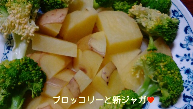 f:id:moko619:20160607105217j:image f:id:moko619:20160607105217j:image