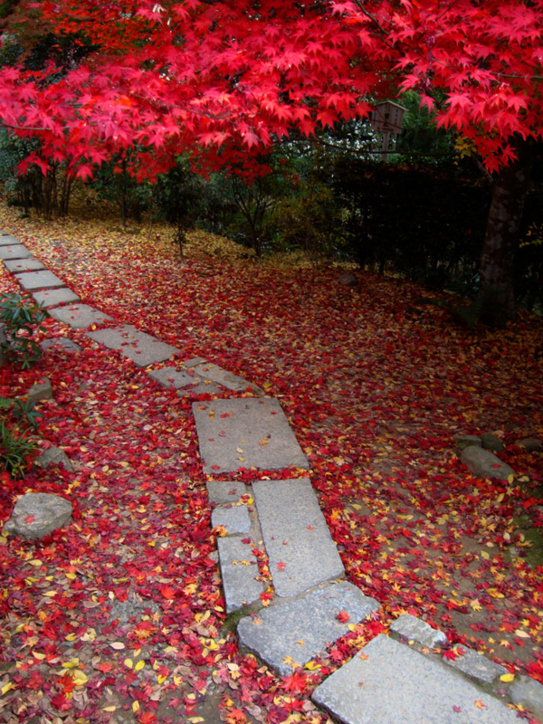 f:id:mokusi:20131130103747j:plain f:id:mokusi:20131130103747j:plain