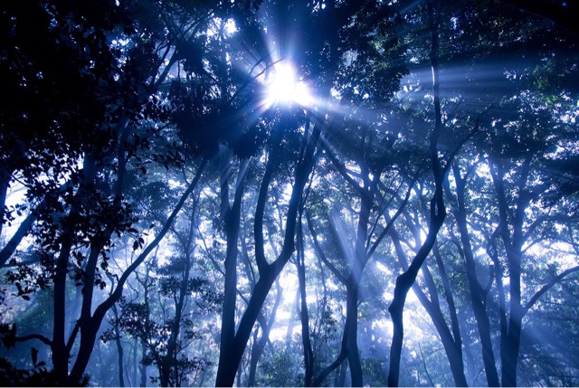 f:id:molineblog:20150417231232j:plain f:id:molineblog:20150417231232j:plain