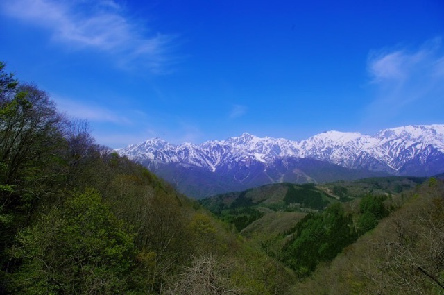 f:id:molineblog:20150422233606j:image f:id:molineblog:20150422233606j:image