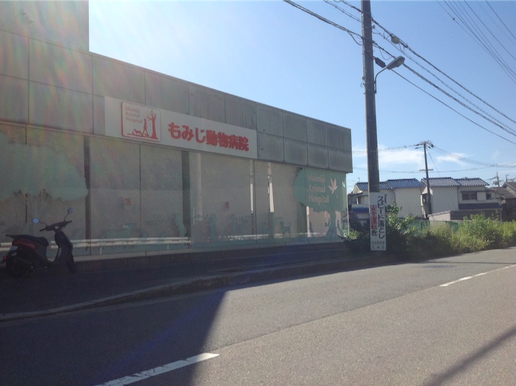 f:id:momijiah:20151003104030j:image f:id:momijiah:20151003104030j:image