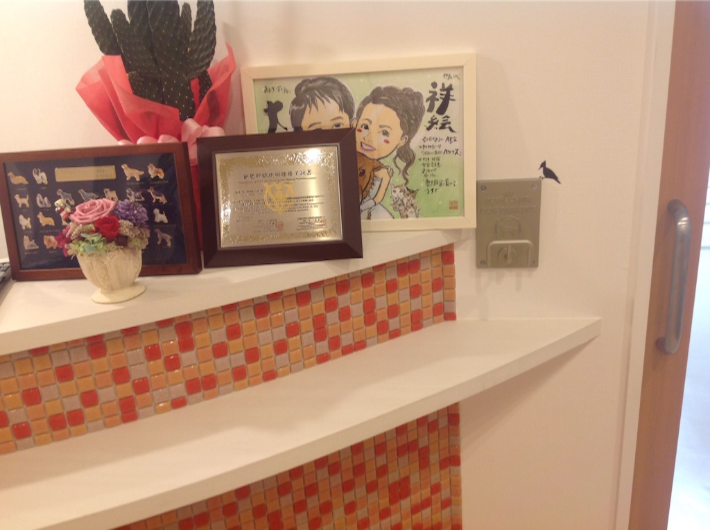 f:id:momijiah:20151010195526j:image f:id:momijiah:20151010195526j:image