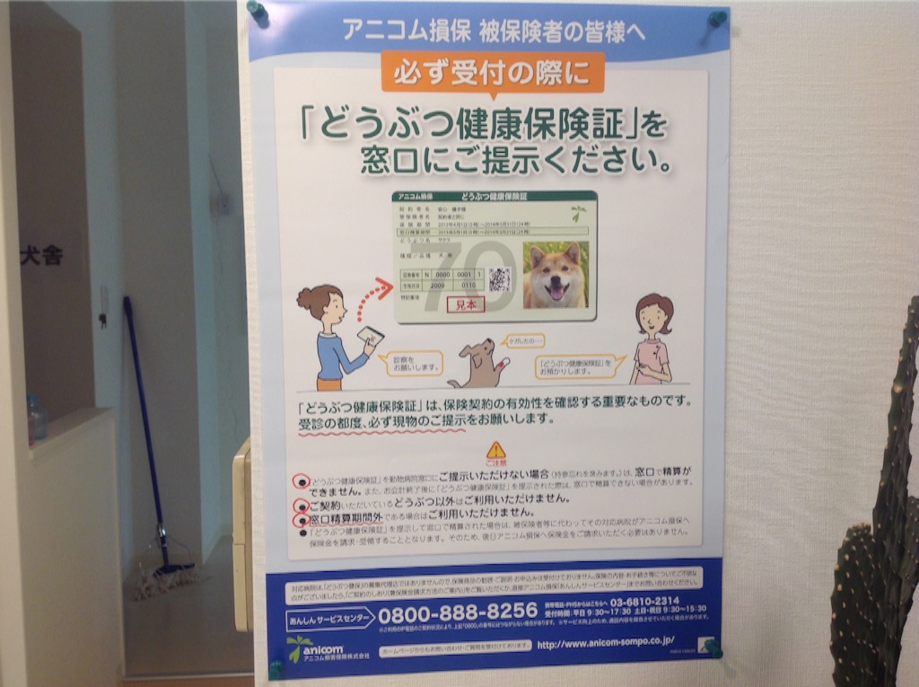 f:id:momijiah:20151024180647j:image f:id:momijiah:20151024180647j:image