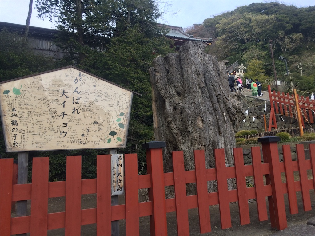 f:id:momo-comfort:20160414114523j:image f:id:momo-comfort:20160414114523j:image