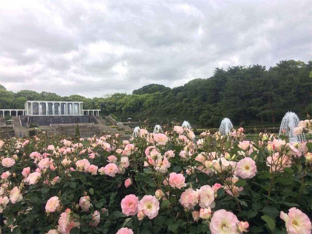 f:id:momo-comfort:20160511172412j:image f:id:momo-comfort:20160511172412j:image