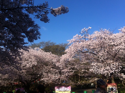 f:id:momo-tokei:20150402081524j:plain f:id:momo-tokei:20150402081524j:plain