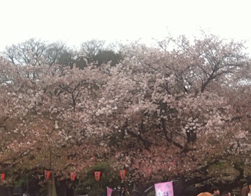 f:id:momo-tokei:20150404110341j:plain f:id:momo-tokei:20150404110341j:plain