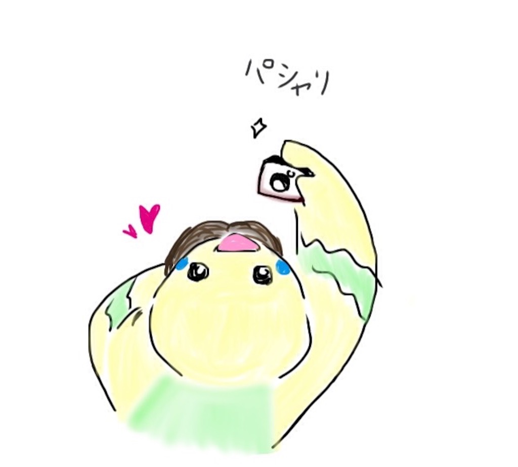 f:id:momo201305:20160307233725j:image f:id:momo201305:20160307233725j:image