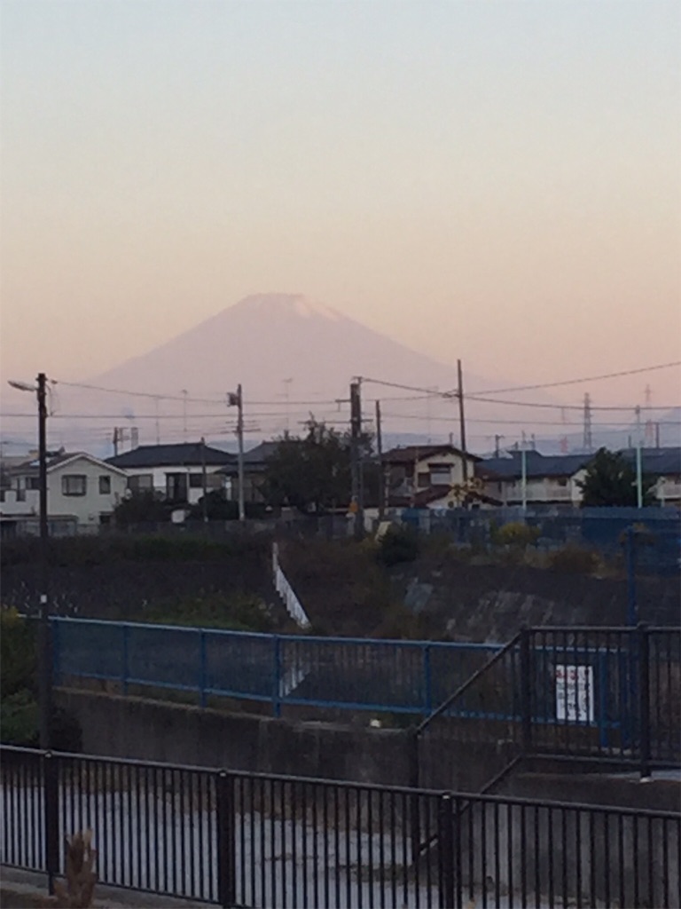 f:id:momo5586:20151026073410j:image f:id:momo5586:20151026073410j:image