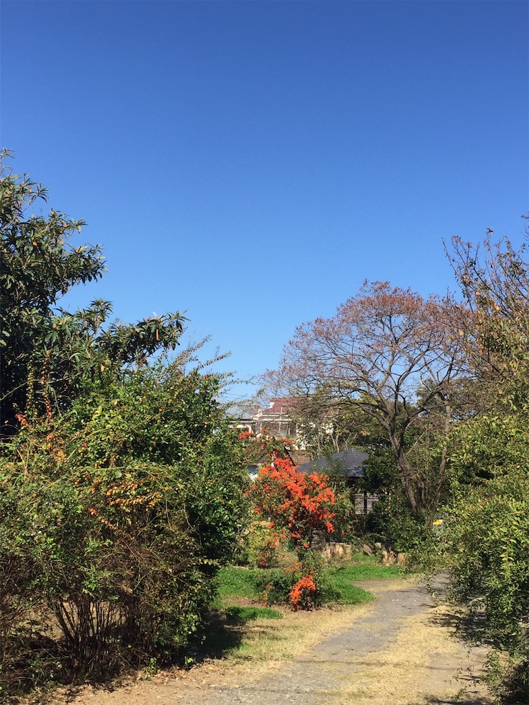 f:id:momo5586:20151028132954j:image f:id:momo5586:20151028132954j:image