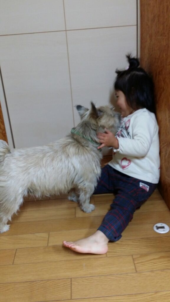 f:id:momo5586:20160110194228j:image f:id:momo5586:20160110194228j:image