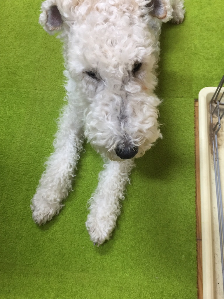 f:id:momo5586:20160223222749j:image f:id:momo5586:20160223222749j:image