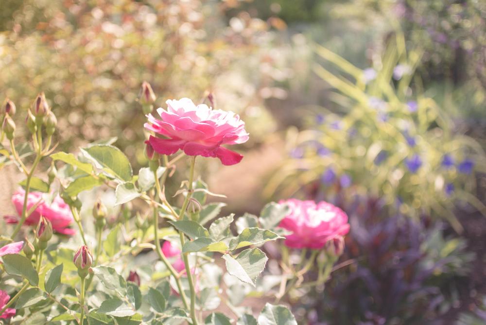 体験談 Yuco ユーコ 旧ユーブライドパーティーの婚活パーティーに参戦してきた 百発百中 3ヶ月で年収600万円フツメンと結婚する方法