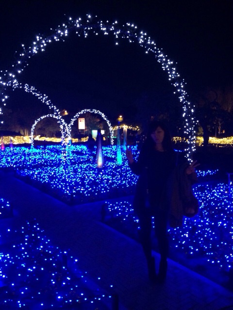 f:id:momocomagrove:20141222173328j:plain f:id:momocomagrove:20141222173328j:plain