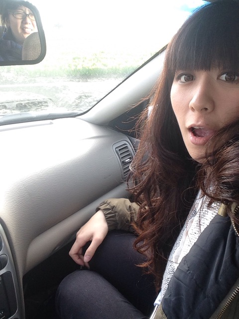 f:id:momocomagrove:20150228031711j:plain f:id:momocomagrove:20150228031711j:plain