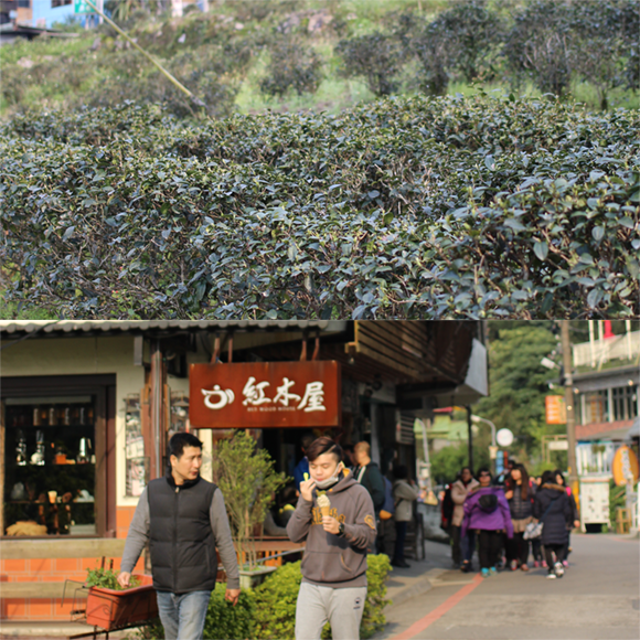 f:id:momocotan:20160423211354p:plain f:id:momocotan:20160423211354p:plain