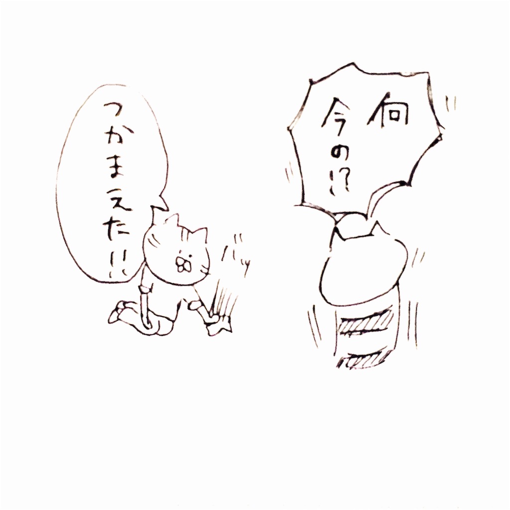 f:id:momomonn:20160404210437j:image f:id:momomonn:20160404210437j:image
