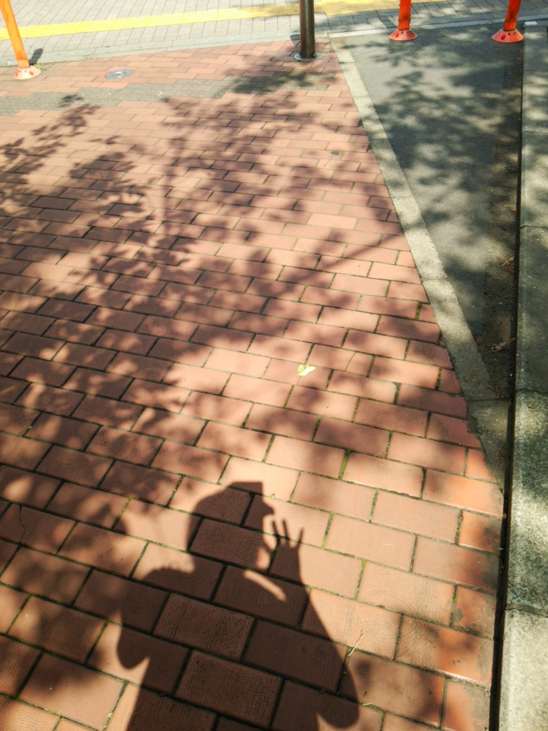 f:id:momoppii:20150629141103j:plain f:id:momoppii:20150629141103j:plain