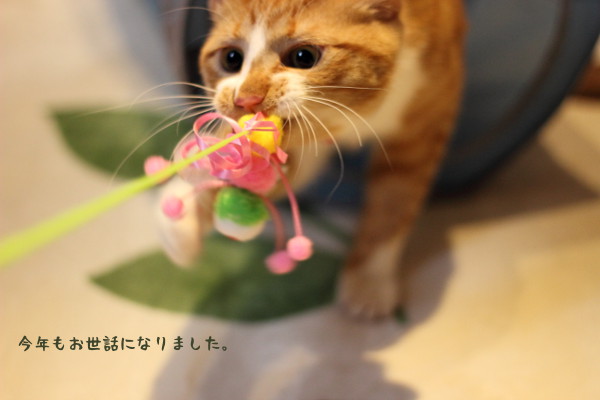 f:id:momosiro36:20131231154910j:plain f:id:momosiro36:20131231154910j:plain