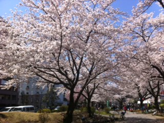 f:id:momozos:20120408111905j:image f:id:momozos:20120408111905j:image