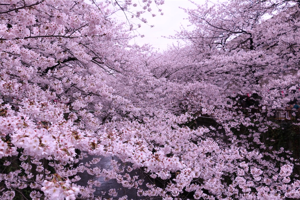 f:id:mon3221:20160403214746j:image f:id:mon3221:20160403214746j:image