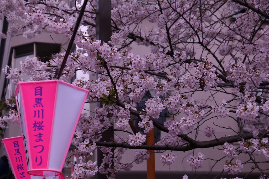 f:id:mon3221:20160403214752j:image f:id:mon3221:20160403214752j:image
