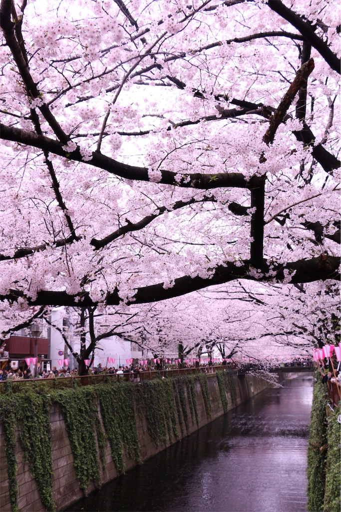 f:id:mon3221:20160403214819j:image f:id:mon3221:20160403214819j:image