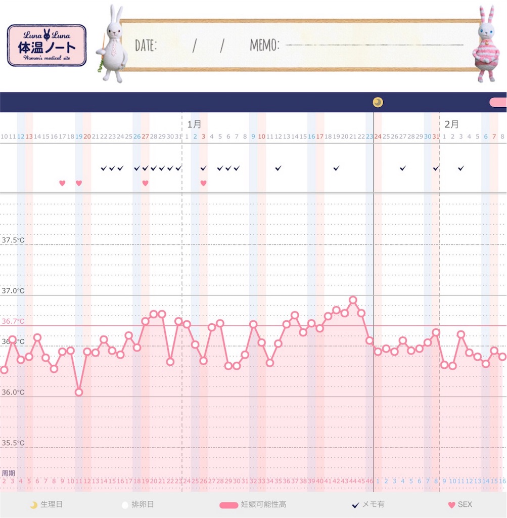 何日続く 排卵日 排卵 何日続く