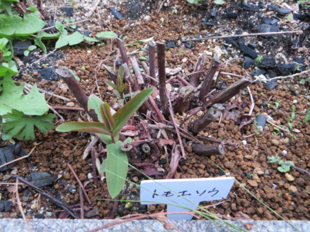 f:id:monobetoshiyuki:20150416182020j:plain f:id:monobetoshiyuki:20150416182020j:plain