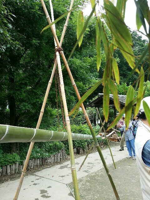 f:id:mononokechan:20160716174735j:image f:id:mononokechan:20160716174735j:image
