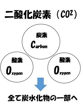 f:id:monoshirin:20151012205638j:plain f:id:monoshirin:20151012205638j:plain