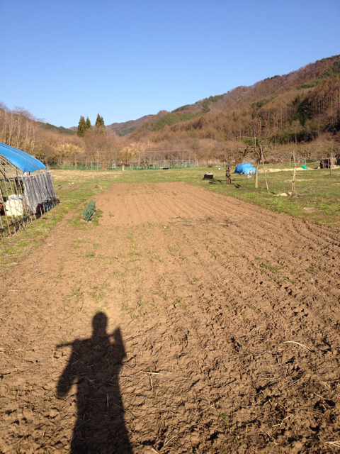 f:id:monsieur0204:20130413221646j:plain f:id:monsieur0204:20130413221646j:plain