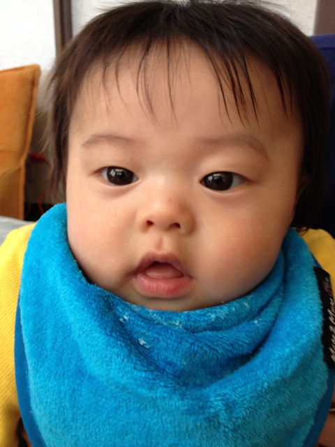 f:id:monsieur0204:20130512184300j:plain f:id:monsieur0204:20130512184300j:plain