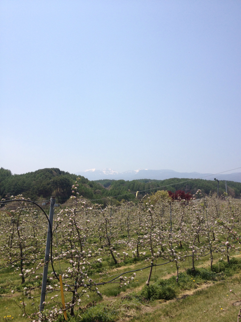 f:id:monsieur0204:20130512213005j:plain f:id:monsieur0204:20130512213005j:plain