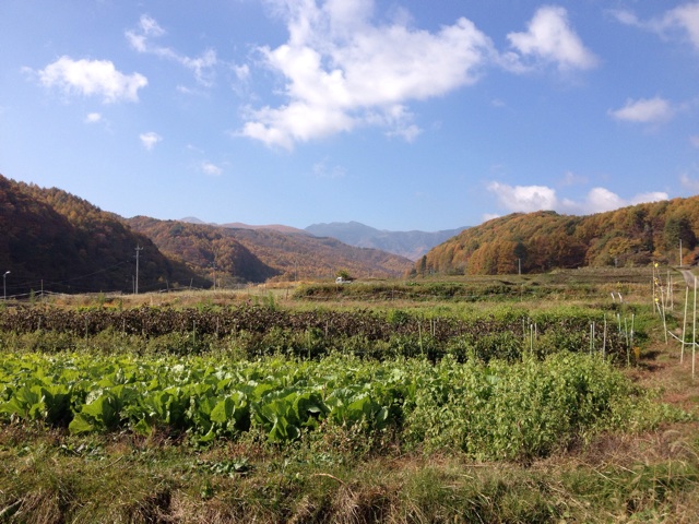 f:id:monsieur0204:20131203013853j:plain f:id:monsieur0204:20131203013853j:plain