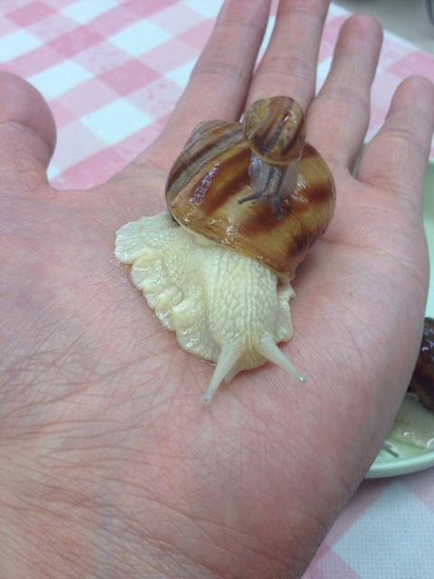 f:id:monsieur0204:20140211121505j:plain f:id:monsieur0204:20140211121505j:plain