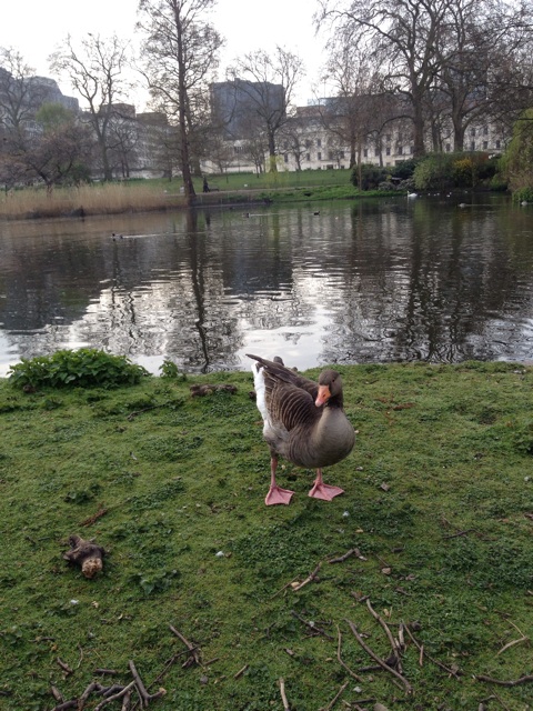 f:id:monsieur0204:20140513114036j:plain f:id:monsieur0204:20140513114036j:plain