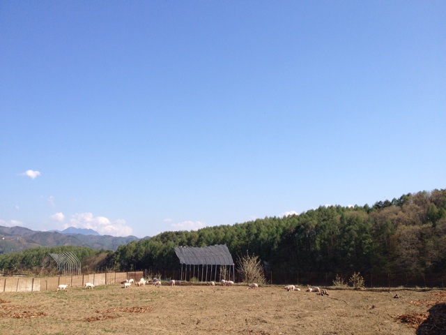 f:id:monsieur0204:20140601004401j:plain f:id:monsieur0204:20140601004401j:plain
