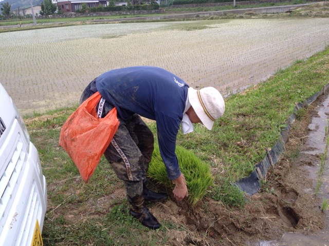 f:id:monsieur0204:20140611185631j:plain f:id:monsieur0204:20140611185631j:plain