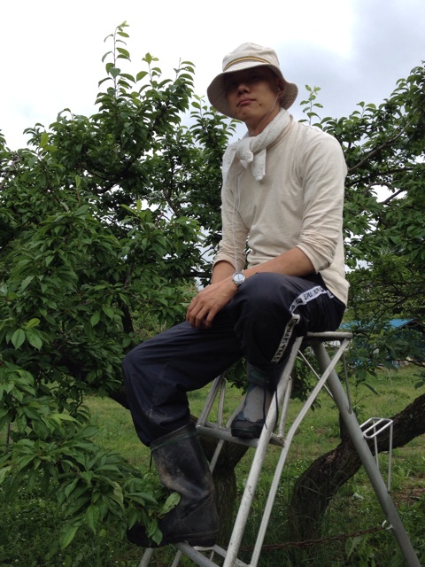 f:id:monsieur0204:20140623183356j:plain f:id:monsieur0204:20140623183356j:plain