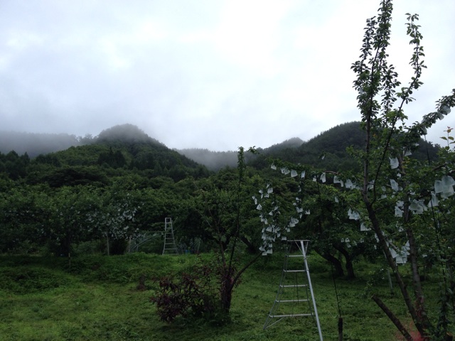 f:id:monsieur0204:20140712002421j:plain f:id:monsieur0204:20140712002421j:plain