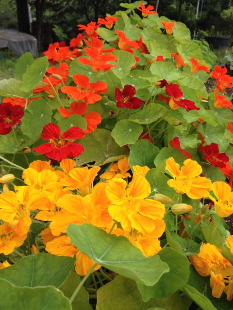 f:id:monsieur0204:20150217192228j:plain f:id:monsieur0204:20150217192228j:plain