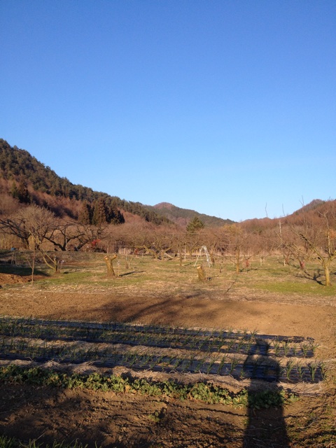 f:id:monsieur0204:20150414204547j:plain f:id:monsieur0204:20150414204547j:plain